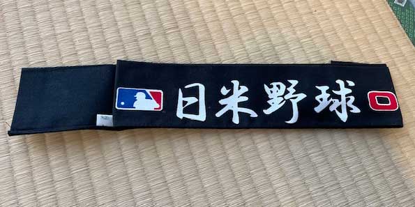 MLB Headband.